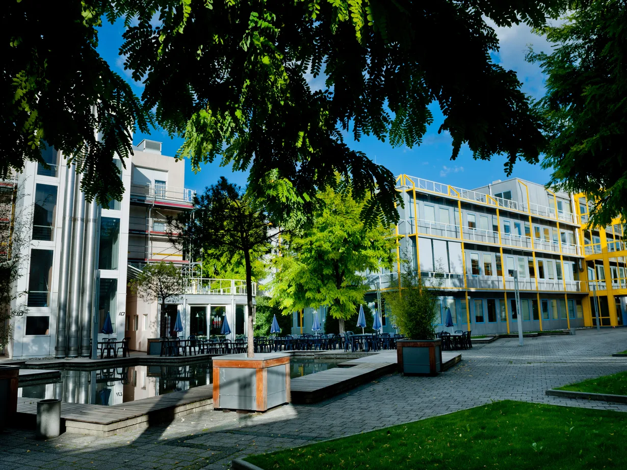 Cour paysagère entre des bâtiments d'activités, avec terrasse, bassin et arbres