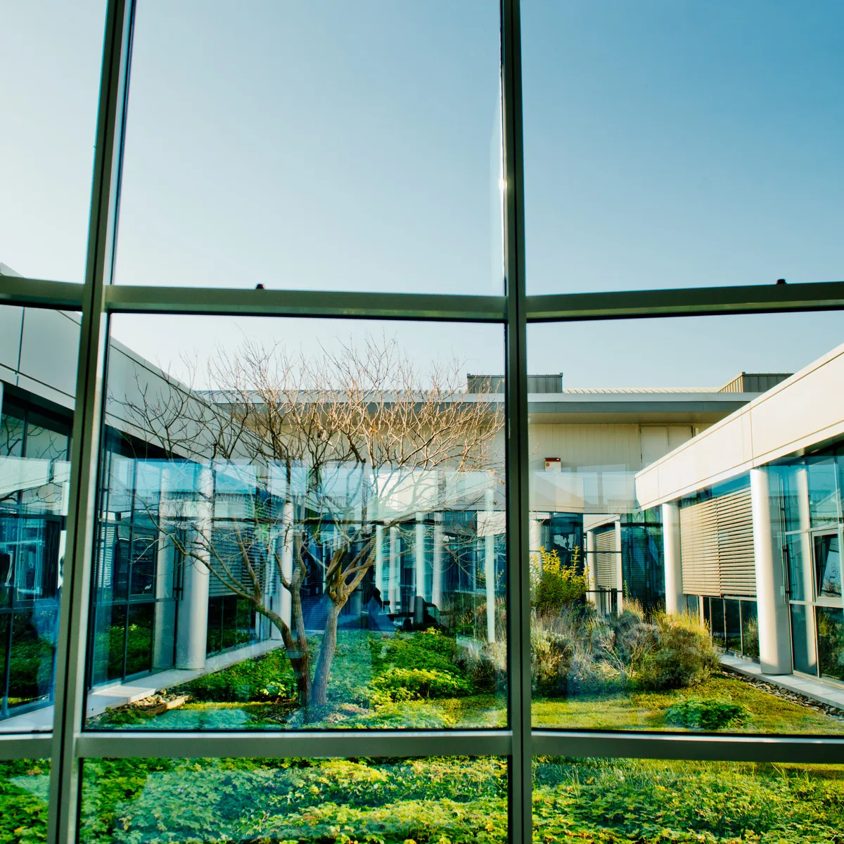 Cour intérieure végétalisée d'un bâtiment moderne, vue à travers une façade vitrée