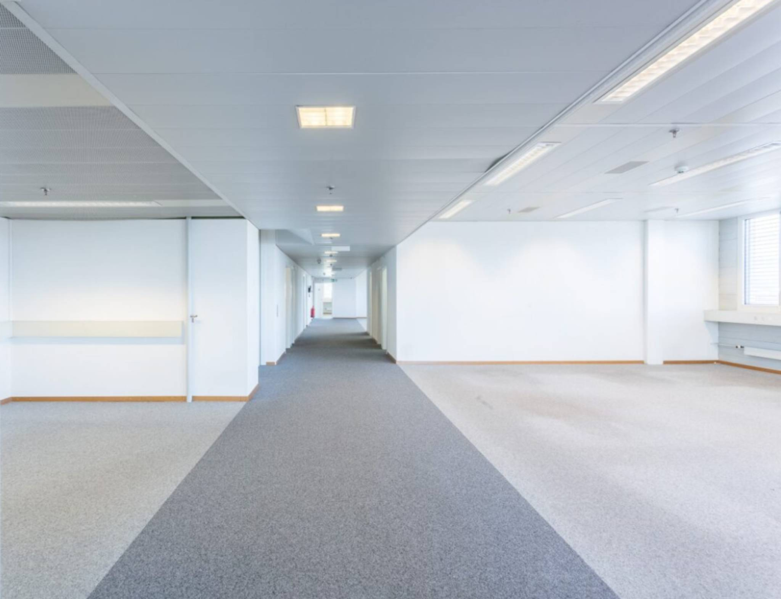 Local administratif à louer – 886 m² – ZIMEYSA – Pré-Bouvier 7 – Satigny